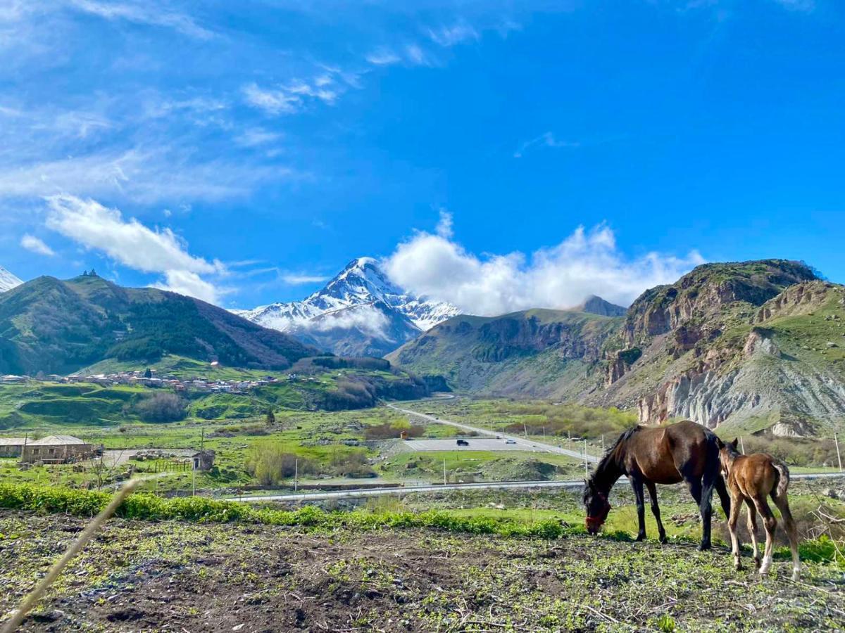 Kazbegi Inn Exterior foto